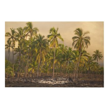 Palm Trees  National Historic Park Pu'uhonua O 2 Wood Wall Decor by tothebeach at Zazzle