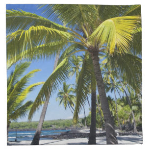Palm trees, National Historic Park Pu'uhonua o Napkin