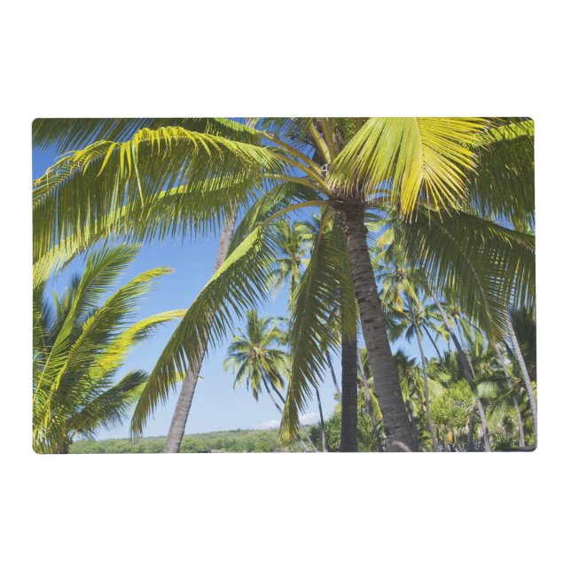 Palm trees, National Historic Park Pu'uhonua o Placemat (Front)