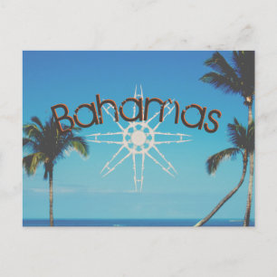 Palm Trees Near The Ocean Postcard