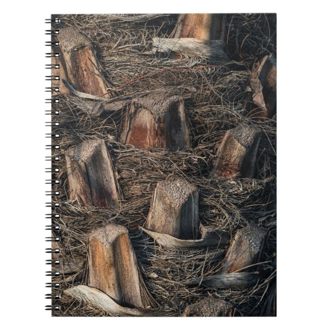 Palm Trees Notebook (Front)
