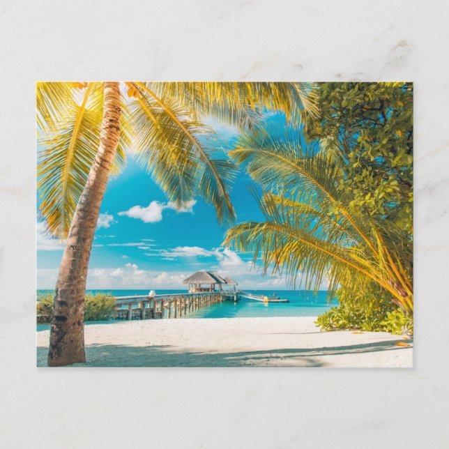 Palm Trees on A Beautiful Sunset Postcard (Front)