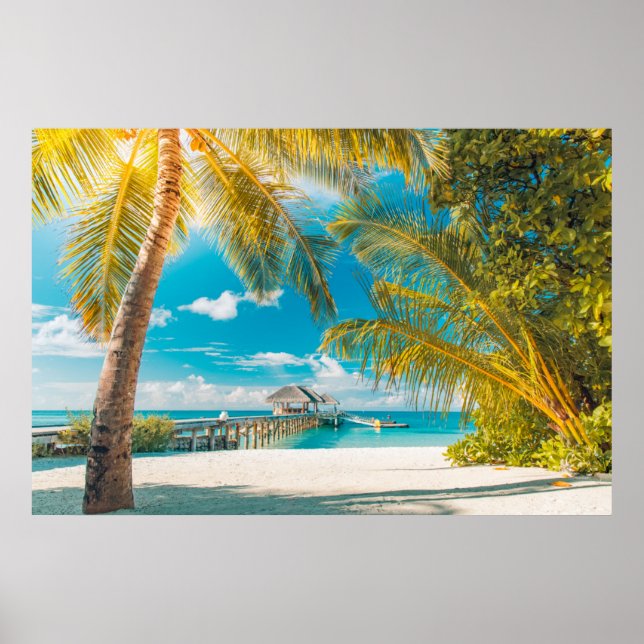 Palm Trees on A Beautiful Sunset Poster (Front)