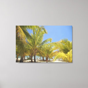 Palm Trees on a Honduras White Sand Beach Canvas Print