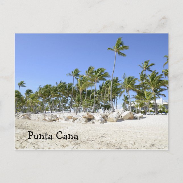 palm trees on a tropical beach postcard (Front)