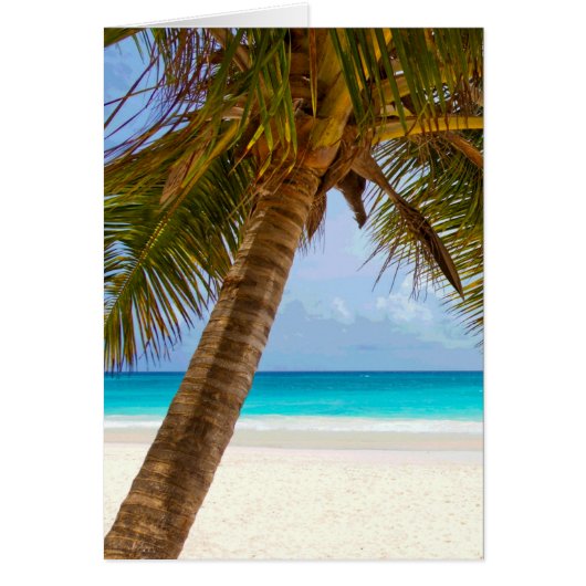 Palm Trees on Beach Blue Sea & Sky Cards (Front)