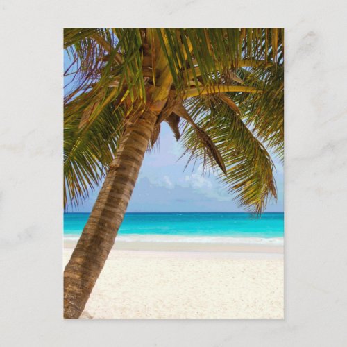 Palm Trees on Beach Blue Sea  Sky Postcard