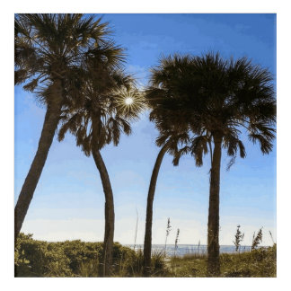Palm Trees on the Beach Acrylic Print