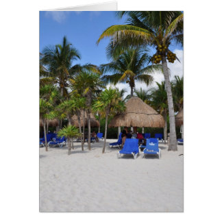 palm trees on the beach cards