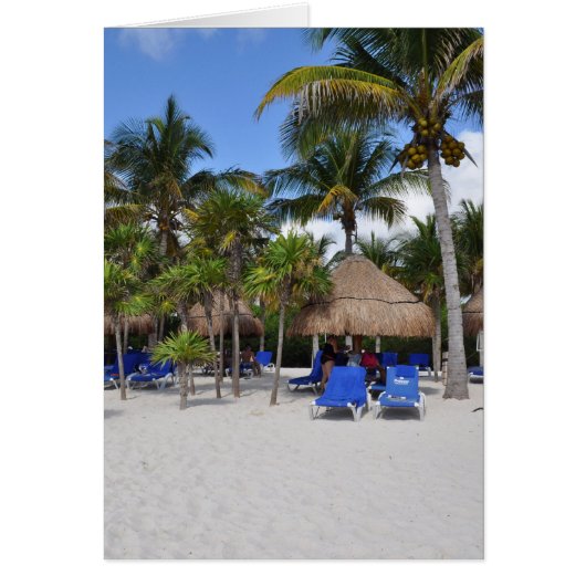 palm trees on the beach cards (Front)
