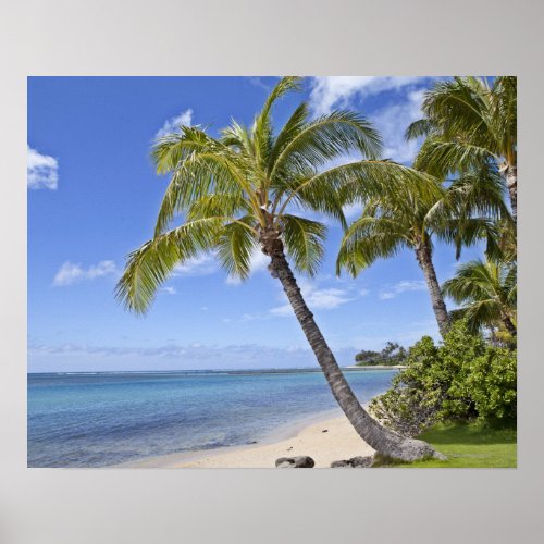 Palm trees on the beach in Hawaii Poster