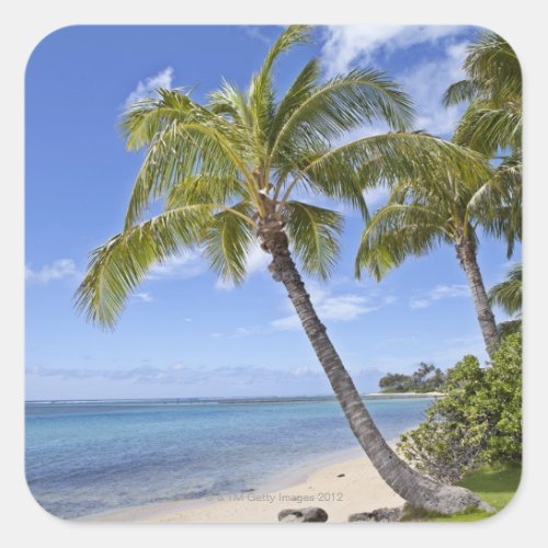 Palm trees on the beach in Hawaii Square Sticker