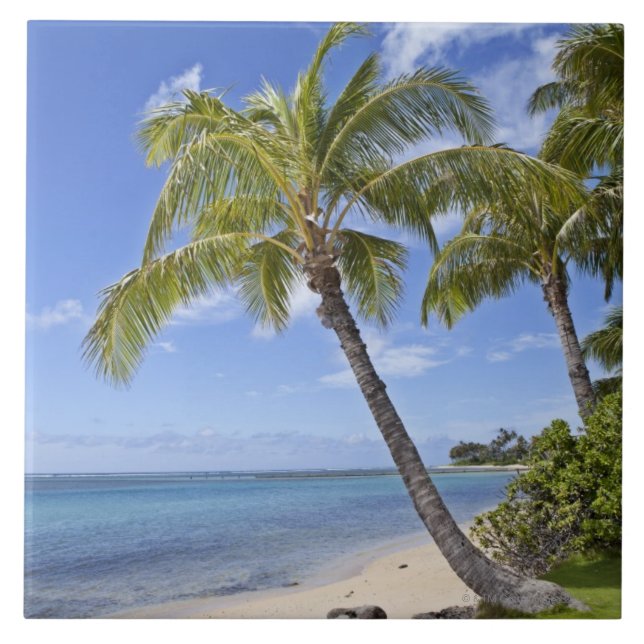 Palm trees on the beach in Hawaii. Tile (Front)