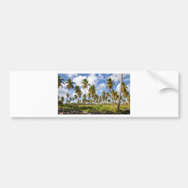 Palm trees on the beach of Isla Saona Bumper Sticker (Front)