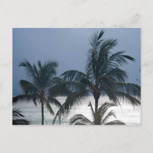 Palm Trees On The Beach Postcard