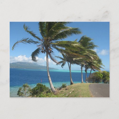 Palm Trees on the Island of Tahaa    Tahiti Postcard