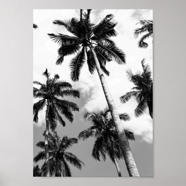 Palm trees poster (Front)