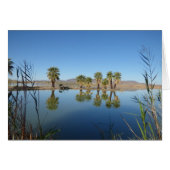 Palm Trees Reflected (Front Horizontal)