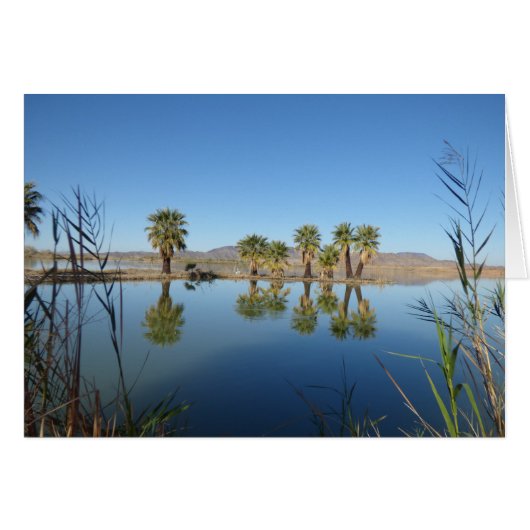 Palm Trees Reflected Cards (Front Horizontal)