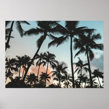 Palm Trees Silhouettes Poster by biutiful at Zazzle