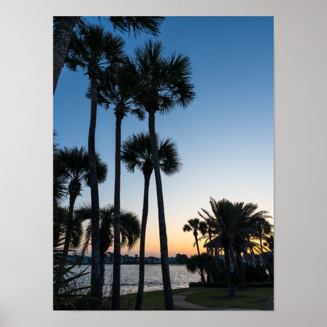 Palm Trees Sunrise Destin Florida Poster (Front)