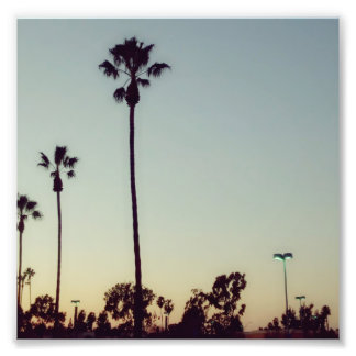 Palm trees & Sunset Photo Print