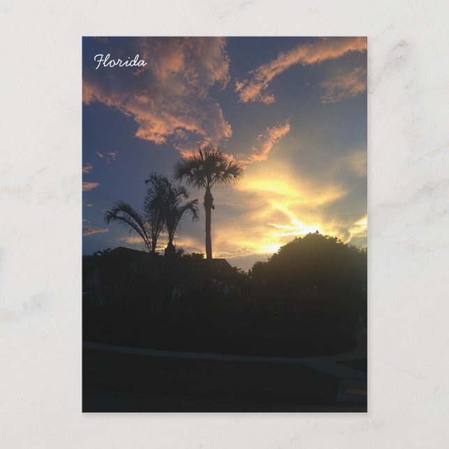 Palm Tree's Sunset Postcard (Front)