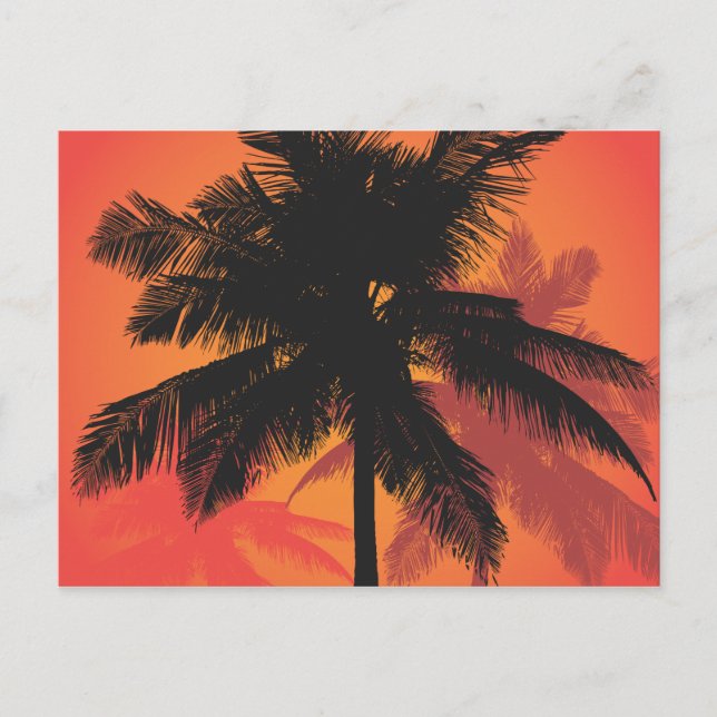 Palm Trees Sunset Silhouettes Postcard (Front)