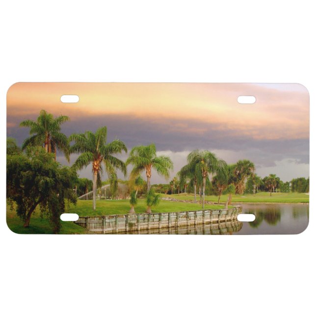 Palm trees Sunset tropical License Plate (Front)
