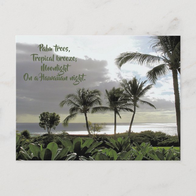 PALM TREES, TROPICAL BREEZE, MAUI POSTCARD (Front)