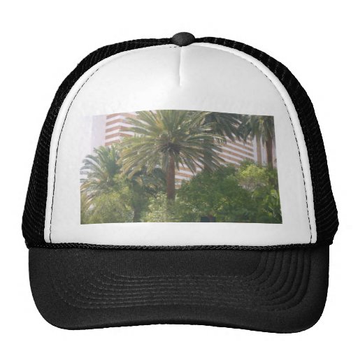 Palm Trees Trucker Hat | Zazzle