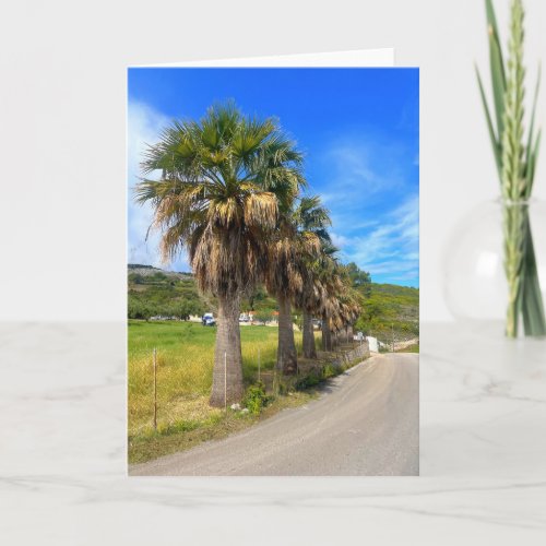 Palm Trees Zakynthos Greece Card