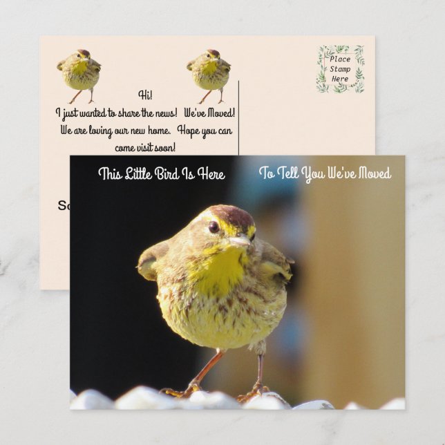 Palm Warbler - Backyard Bird New Address Post Card (Front/Back)
