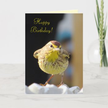 Palm Warbler - Backyard Bird Series Birthday Card by CatsEyeViewGifts at Zazzle