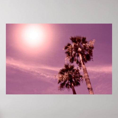 Palmen mit Sonne Poster