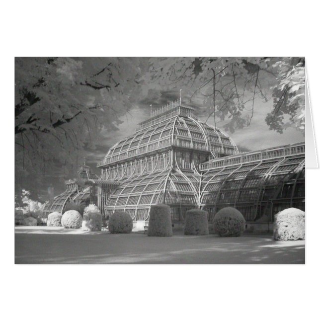 Palmenhaus Cards (Front Horizontal)