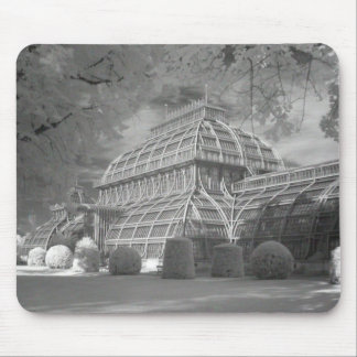 Palmenhaus Mouse Pad