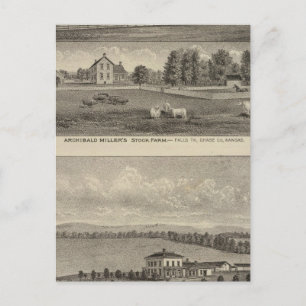 Palmer Ranch, Kansas Postcard