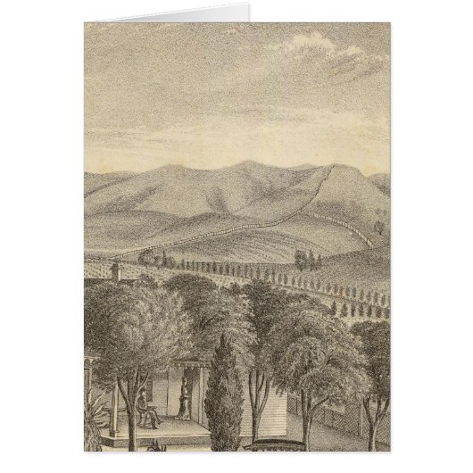 Palmer res, vineyard cards (Front)