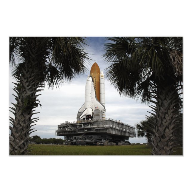 Palmetto trees frame space shuttle Endeavour Photo Print (Front)