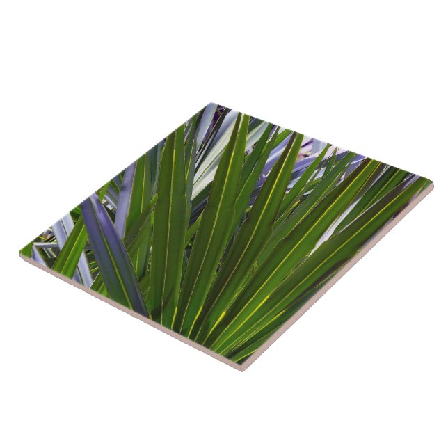 Palmetto Tropicale Ceramic Tile (Side)