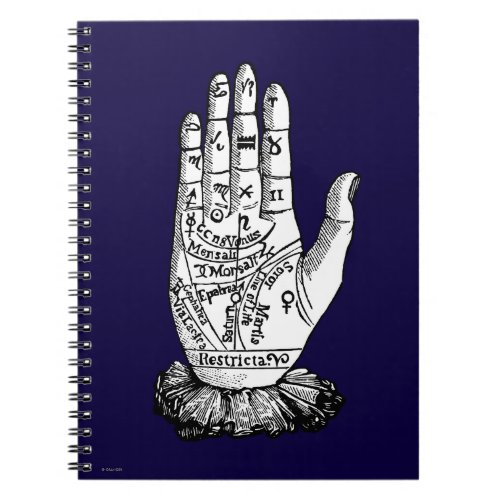 Palmistry Chart 1885 Notebook