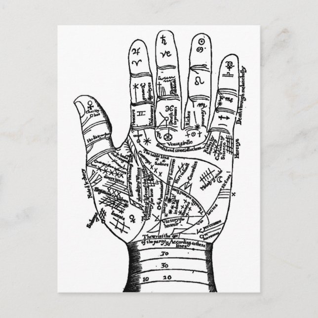 Palmistry Hand Map Postcard (Front)