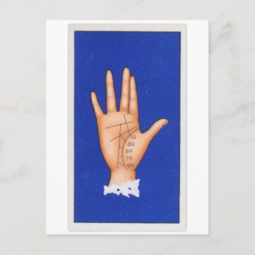 Palmistry Hand Reading The Life Line Postcard