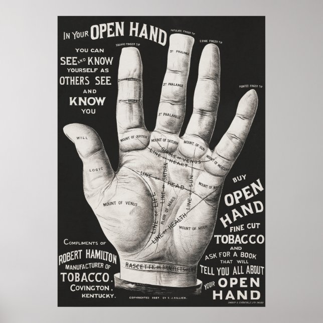 Palmistry Poster (Front)