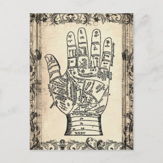 Palmistry Vintage Fortune Teller Postcard