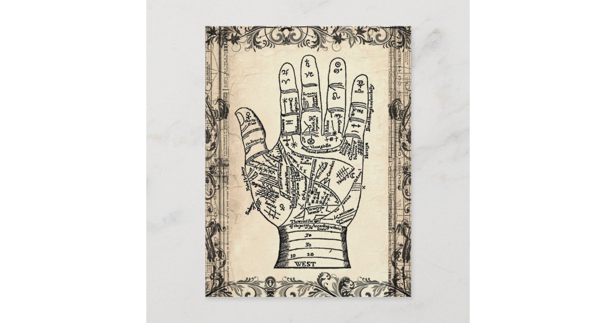 Palmistry Vintage Fortune Teller Postcard | Zazzle