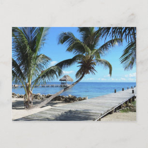 Palms and Pier in Belize Postcard