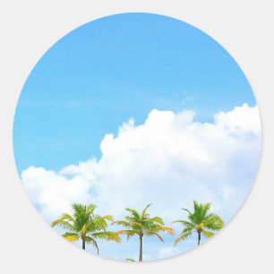 Palms Blue Sky And Clouds Blank Template Classic Round Sticker