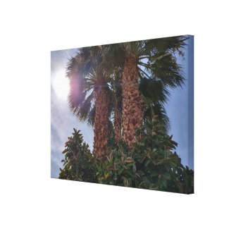 PALMS IN THE DESERT 1 CANVAS PRINT